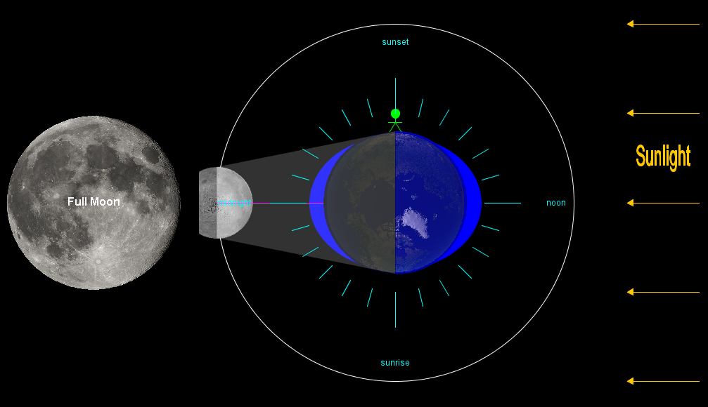 http://en.wikipedia.org/wiki/File:High_tide_sun_moon_opposite_side.png