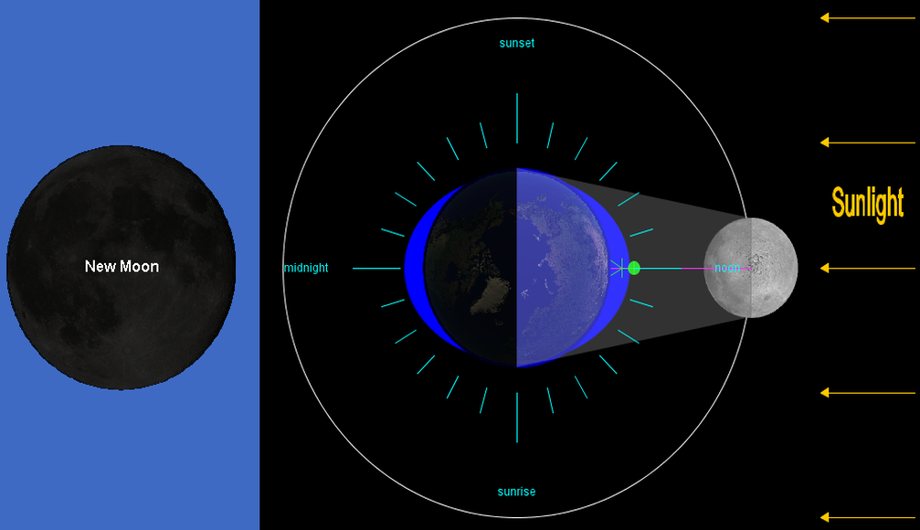 http://en.wikipedia.org/wiki/File:High_tide_sun_moon_same_side_end.png